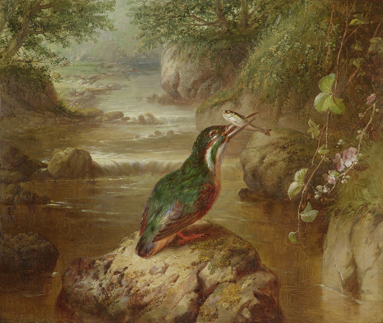 Haunt of the Kingfisher od John Wainwright