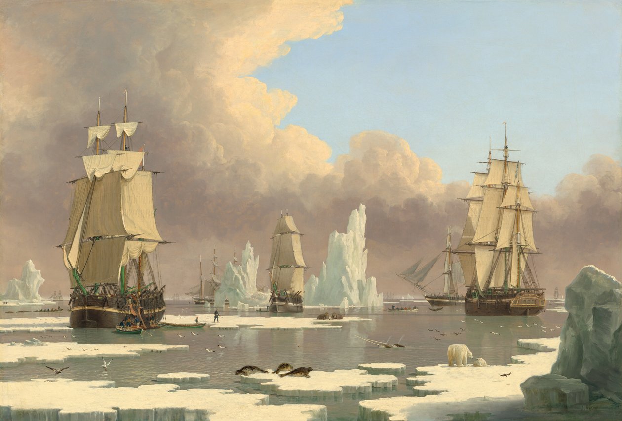 Lov severních velryb: "Swan" a "Isabella" od John Ward of Hull