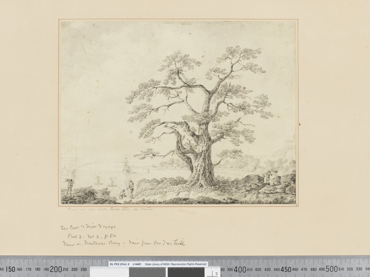 F.44 Pohled na mořské pobřeží, velký strom uprostřed, cca 1783-84 od John Webber