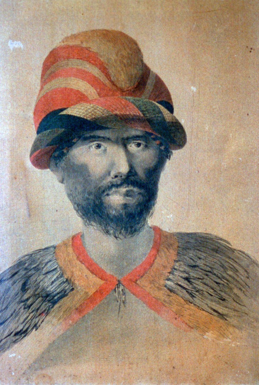 Havajské, 18. století od John Webber