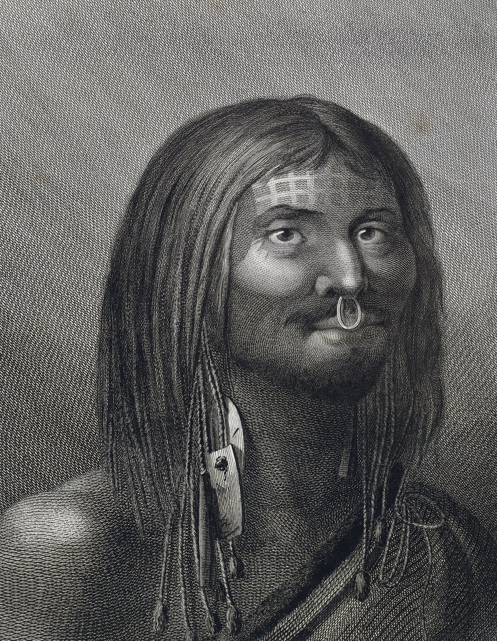 Polynéský muž z Nootka Sound, ilustrace Johna Webbera (1752-1793) vytvořená během třetí cesty (1776-1779) Jamese Cooka (1728-1779), od John Webber