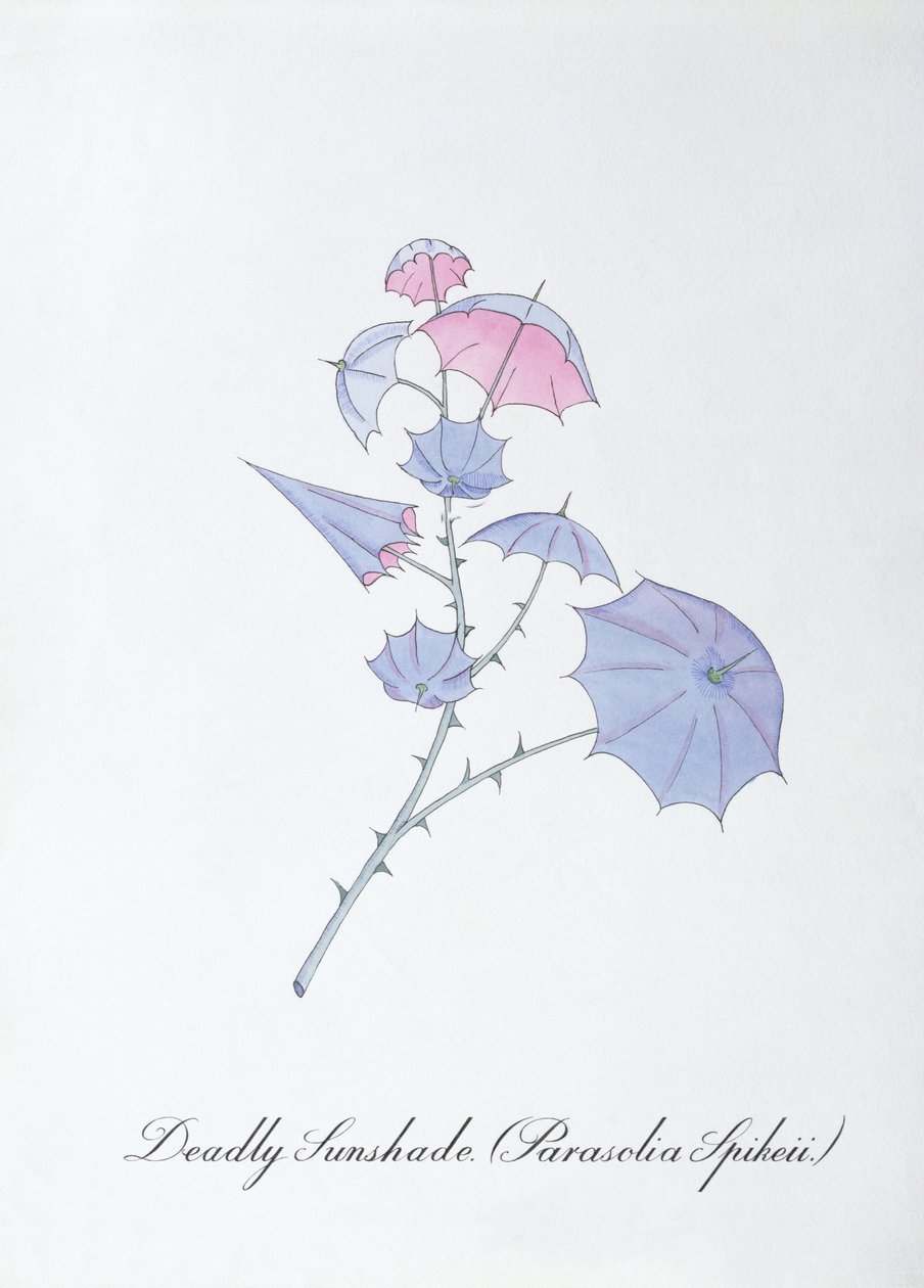 Deadly Sunshade (Parasolia Spikeii.), ilustrace z 