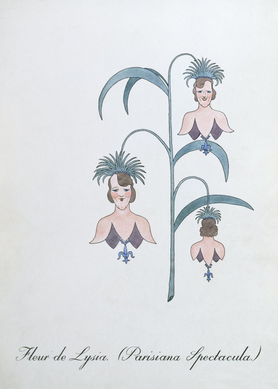 Fleur de Lysia (Parisiana Spectacula.), ilustrace z 