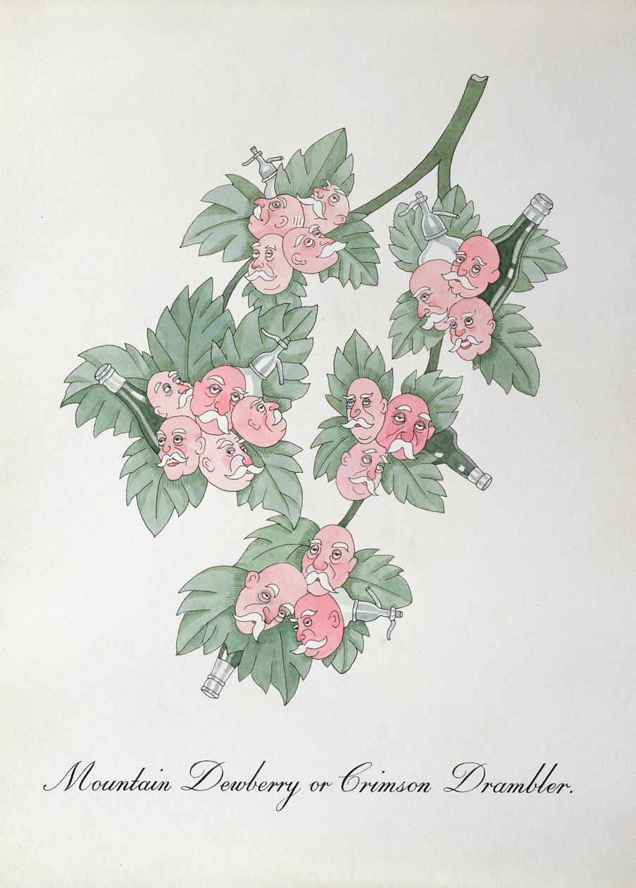 Mountain Dewberry or Crimson Drambler, ilustrace z „The Bogus Book of Botany“ od Johna Weira od John Weir