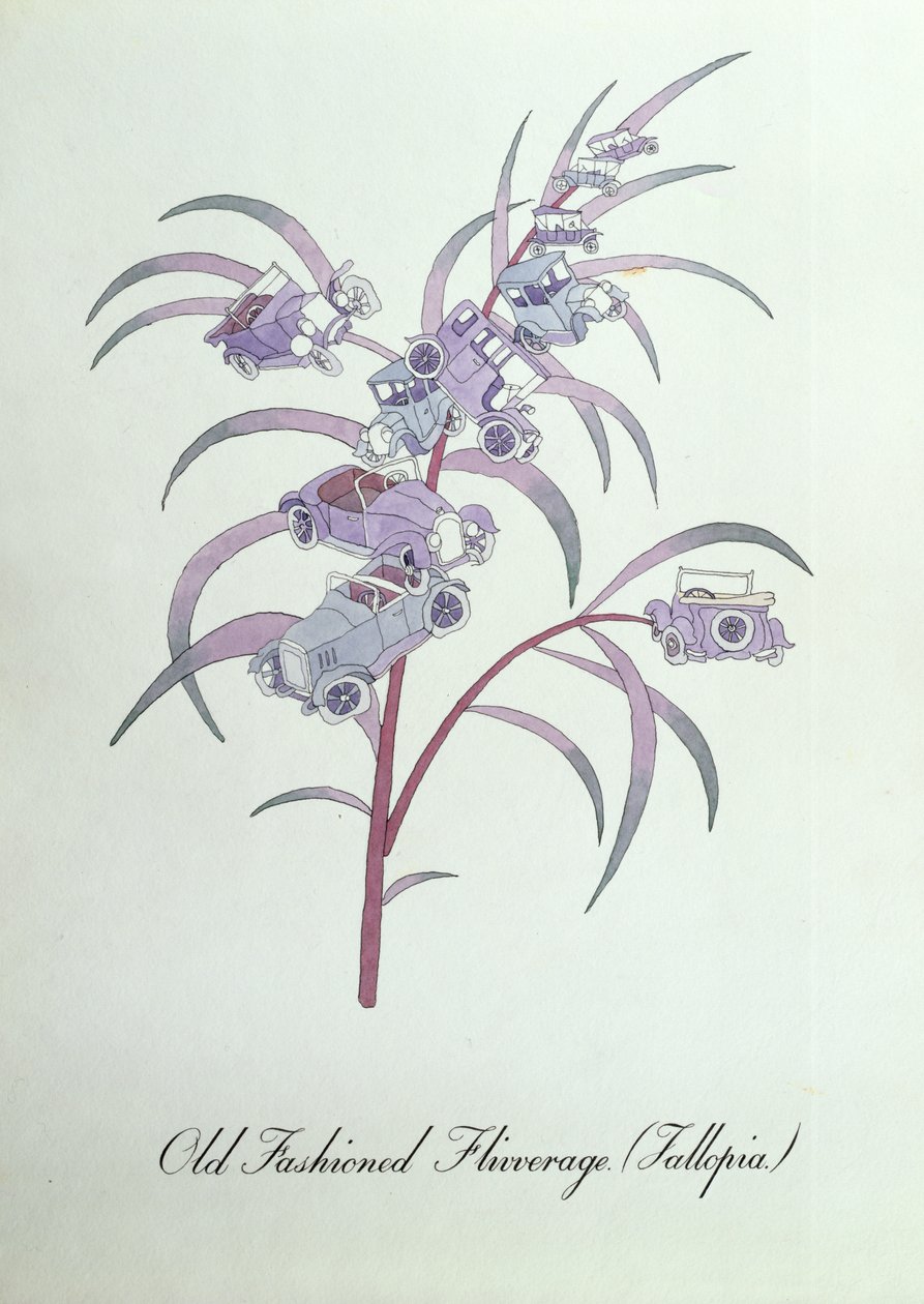Old Fashioned Flivverage (Fallopia.), ilustrace z 