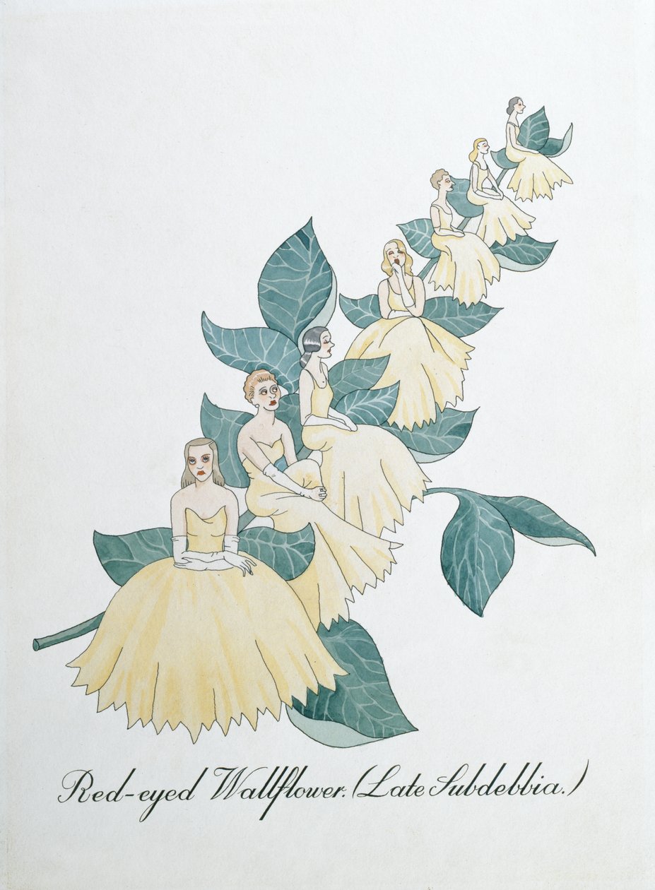 Červenooký Wallflower (Late Subdebbia), ilustrace z 