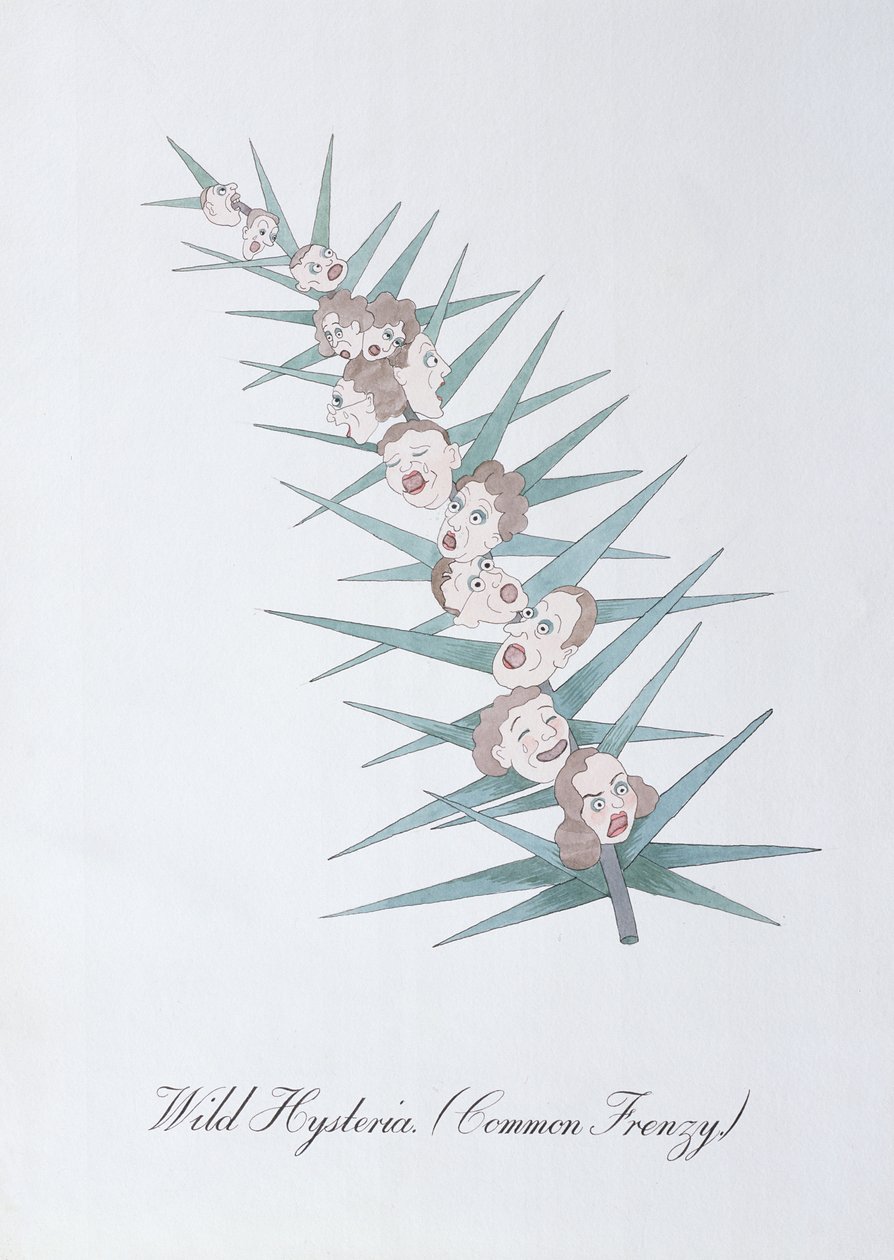 Wild Hysteria (Common Frenzy.), ilustrace z 