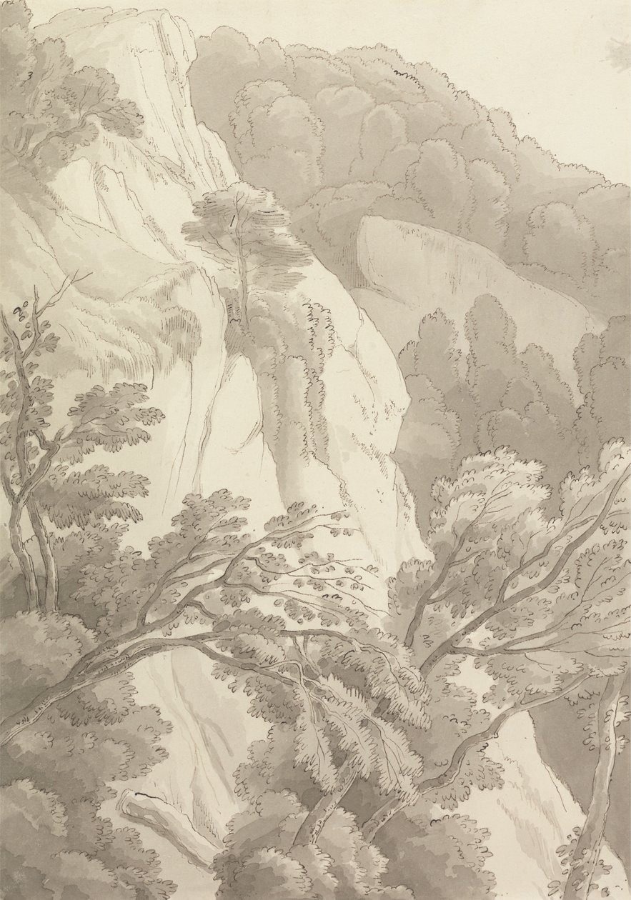 Canonteign od John White Abbott