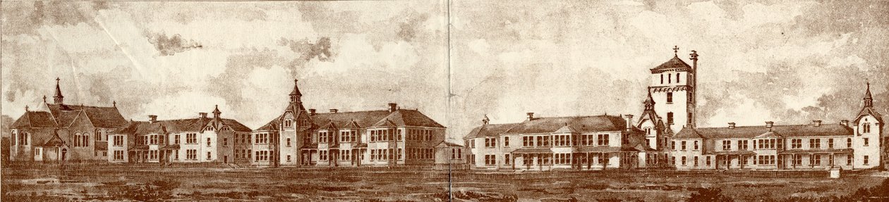 The Newcastle upon Tyne Lunatic Asylum, Coxlodge, c.1829 (fotolitho) od John William Dyson