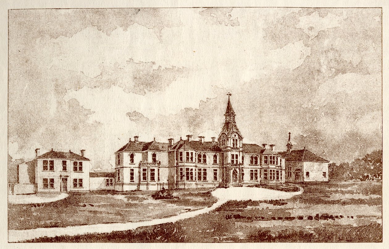 The Newcastle upon Tyne Lunatic Asylum, Coxlodge, c.1829 (fotolitho) od John William Dyson