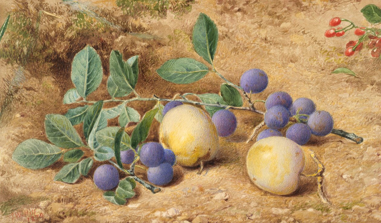 Švestky, 1870. od John William Hill