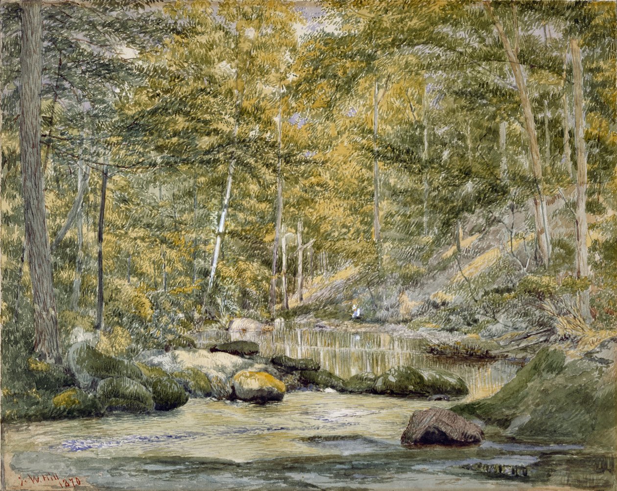 Woodland Pool with Men Fishing, 1870 (wc na papíře) od John William Hill