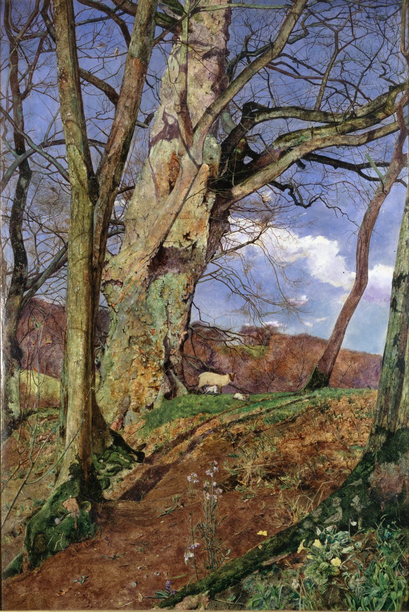 Studie, v březnu, vystavena 1855 od John William Inchbold