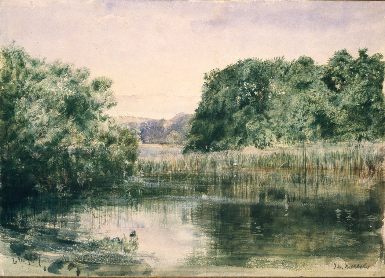 Pohled na jezero se stromy, 1857 od John William Inchbold