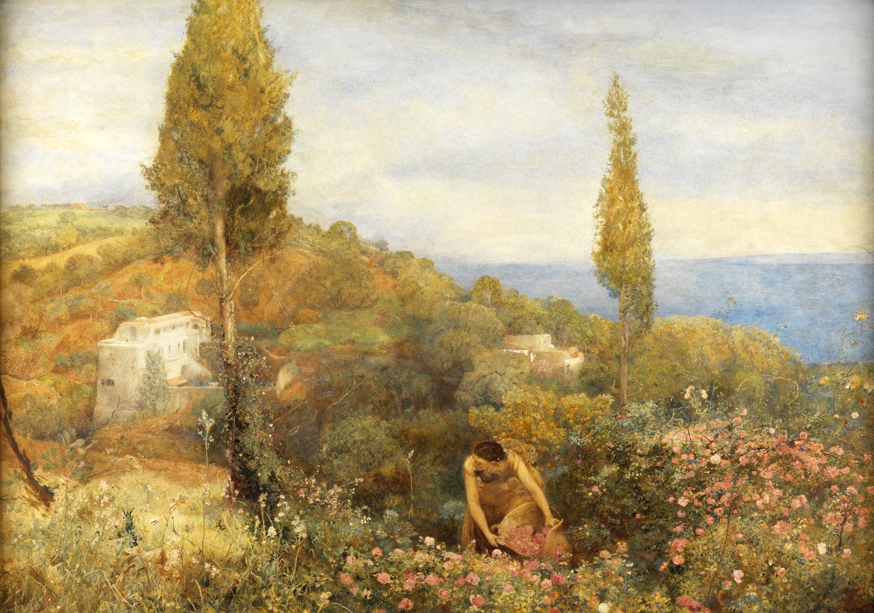 Růže, asfodel a cypřiš - Alžírsko od John William North
