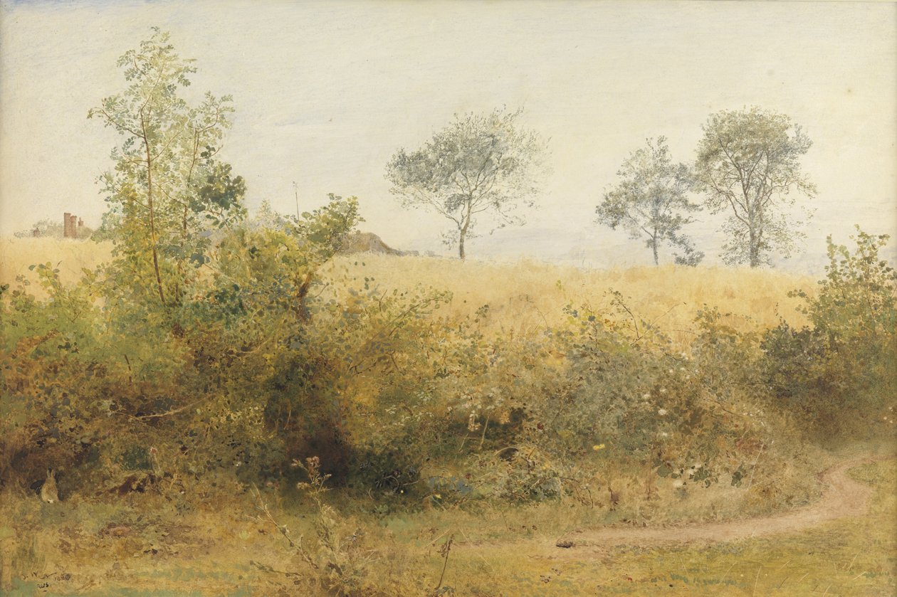 The Bat Begins with Giddy Wing - Barley Field Over the Hedge, 1885 (wc a tužka s škrábáním na papíře) od John William North
