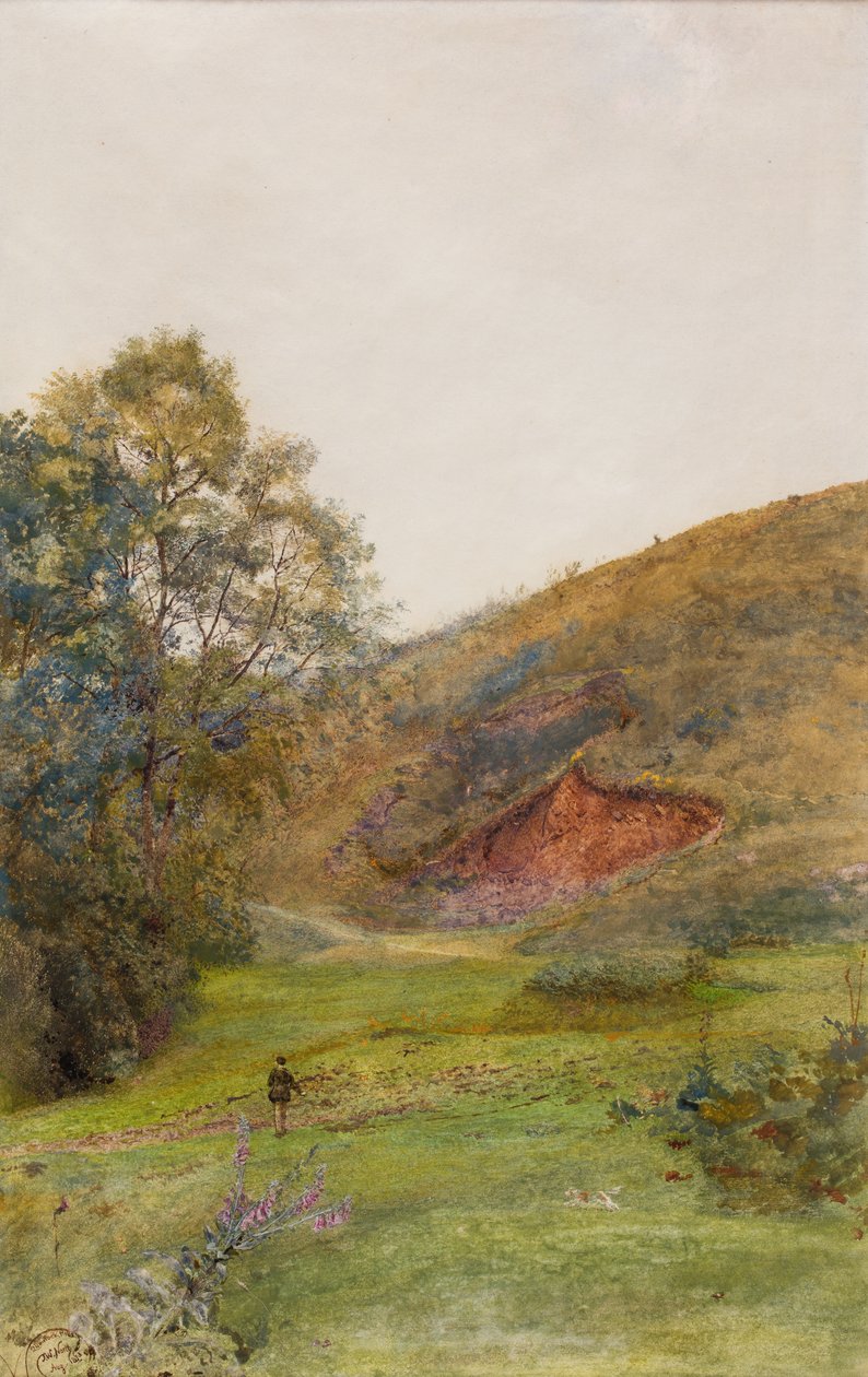 Quantock Hills, asi 1870 (akvarel na papíře) od John William North