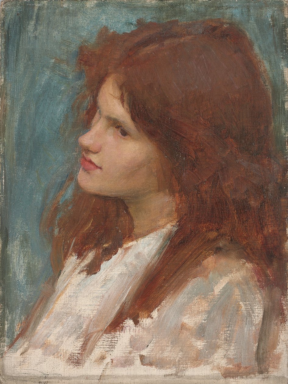 Hlava dívky, c. 1892-1900 od John William Waterhouse
