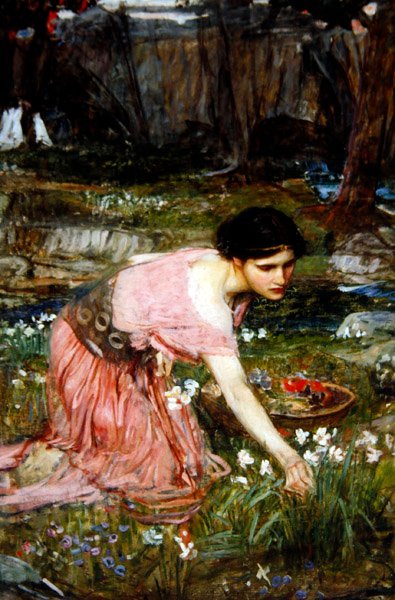 Maidens Picking Flowers by a Stream, cca 1911 (olej na plátně) od John William Waterhouse