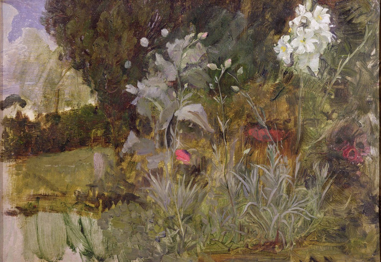 Study of Flowers and Foliage, pro 