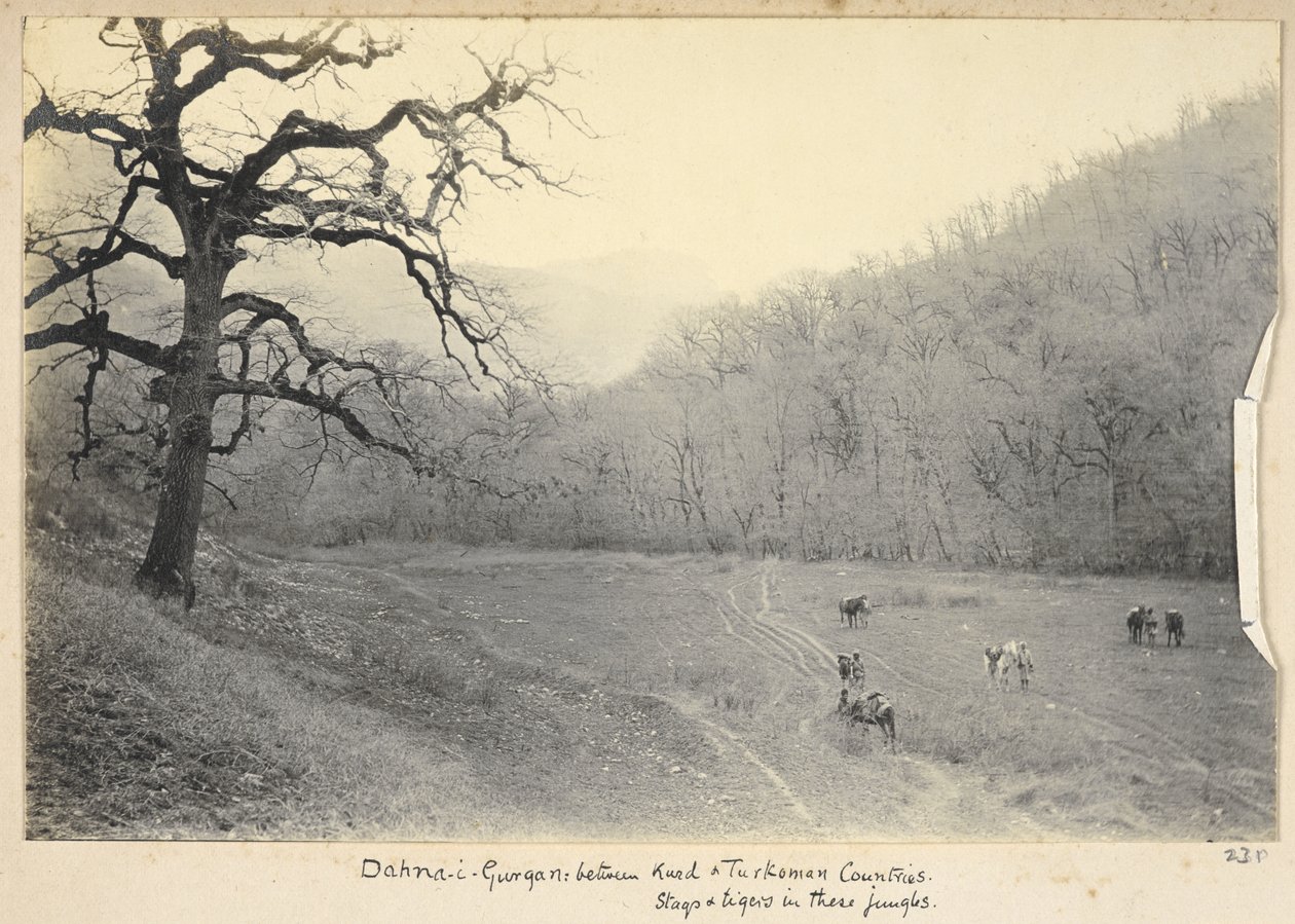 Provincie Razavi Khorasan, Írán, kolem roku 1908 (černobílá fotografie) od John Williams Watson