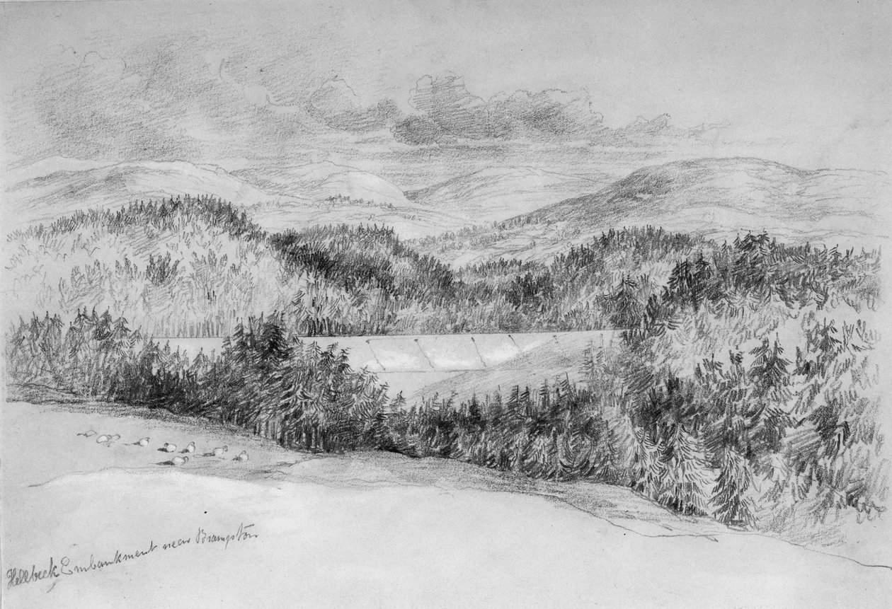 Hillbeck Embankment poblíž Brampton (bc a tužka na papíře) od John Wilson Carmichael