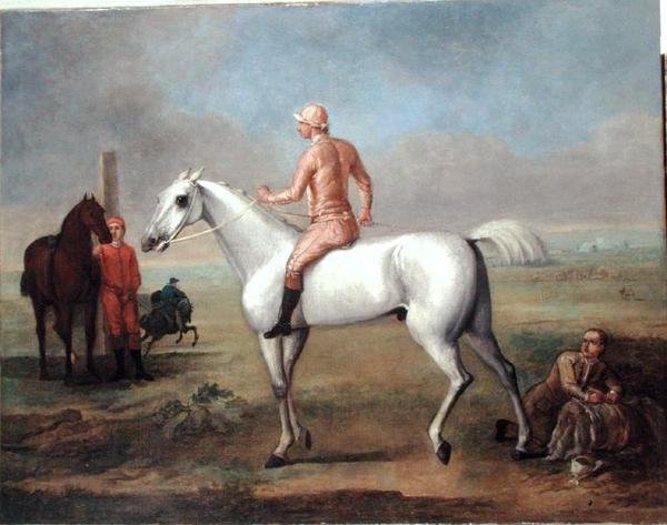 Arabský hřebec s Jockey Up (olej na plátně) od John Wootton
