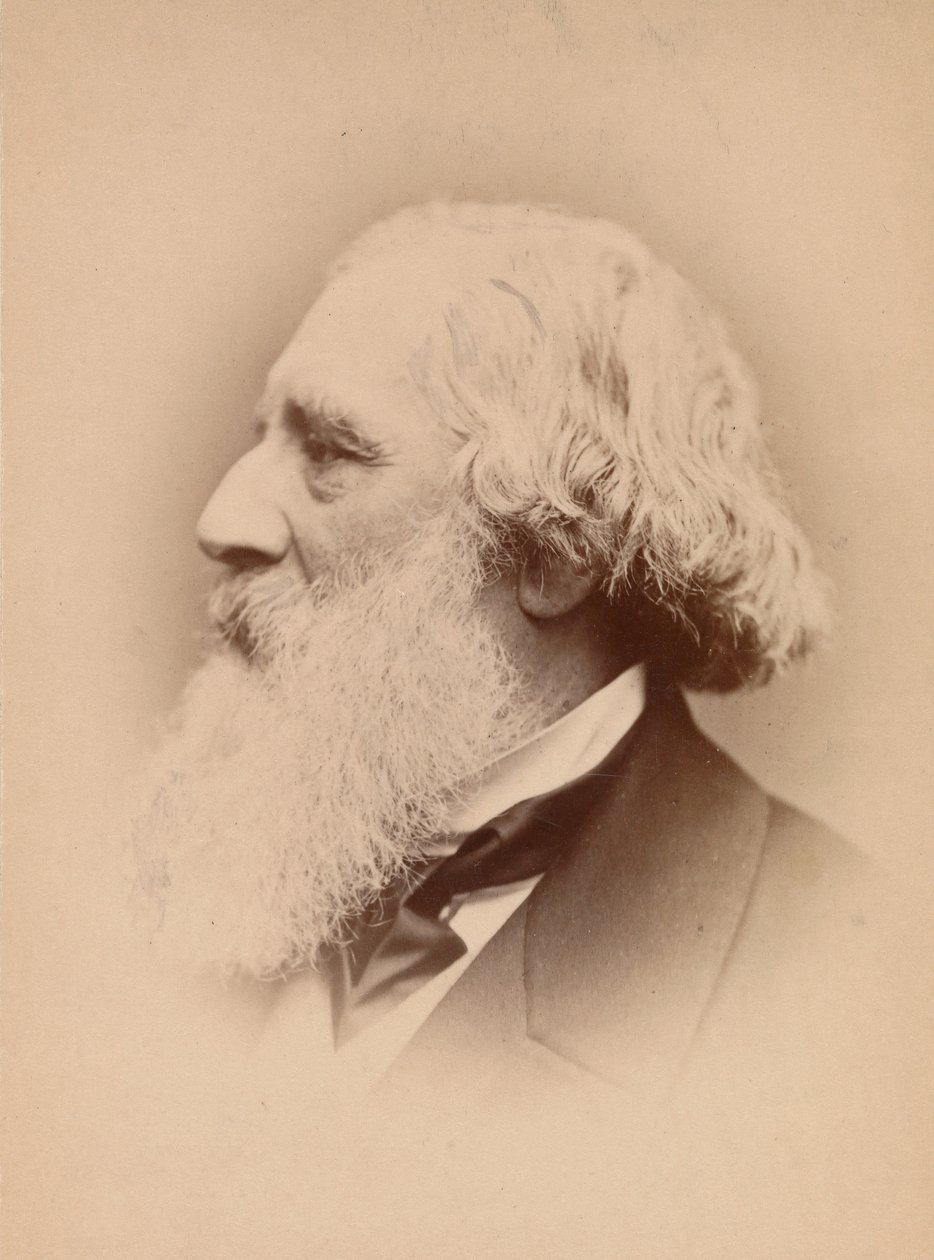 [John Frederick Lewis], 60. léta 19. století. od John and Charles Watkins