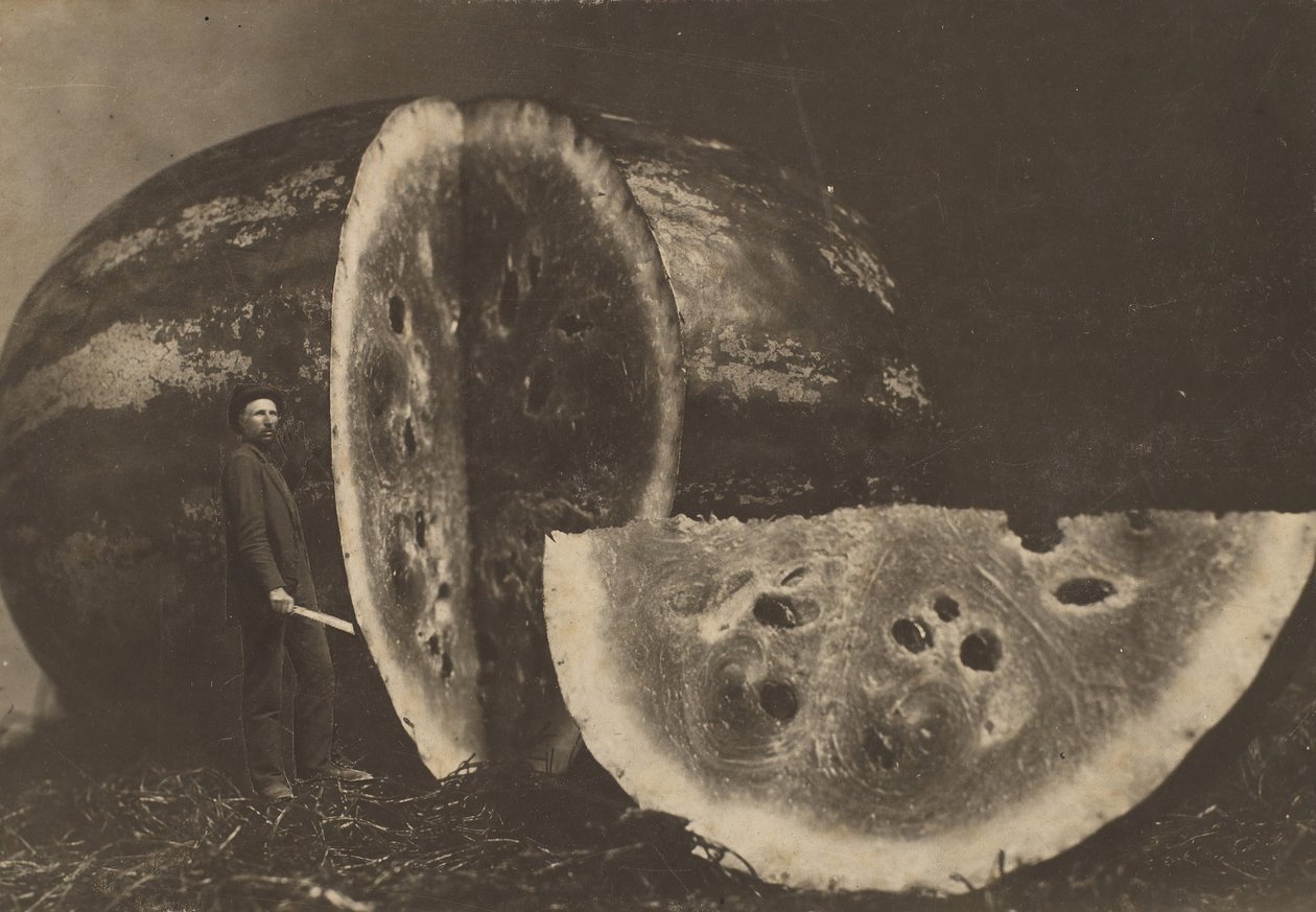 Muž řezání melounu, 1898-1903. od Johnson