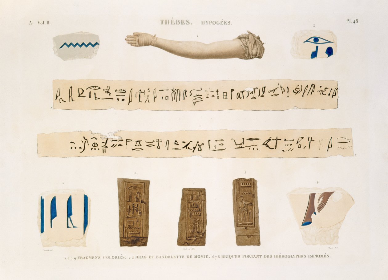 Ilustrace hieroglyfů a paže mumie z Hypogees, Théby, deska 48 ze svazku II „Popisy Egypta“, vyryl Charles, 1822 (akvatinta) od Jomard