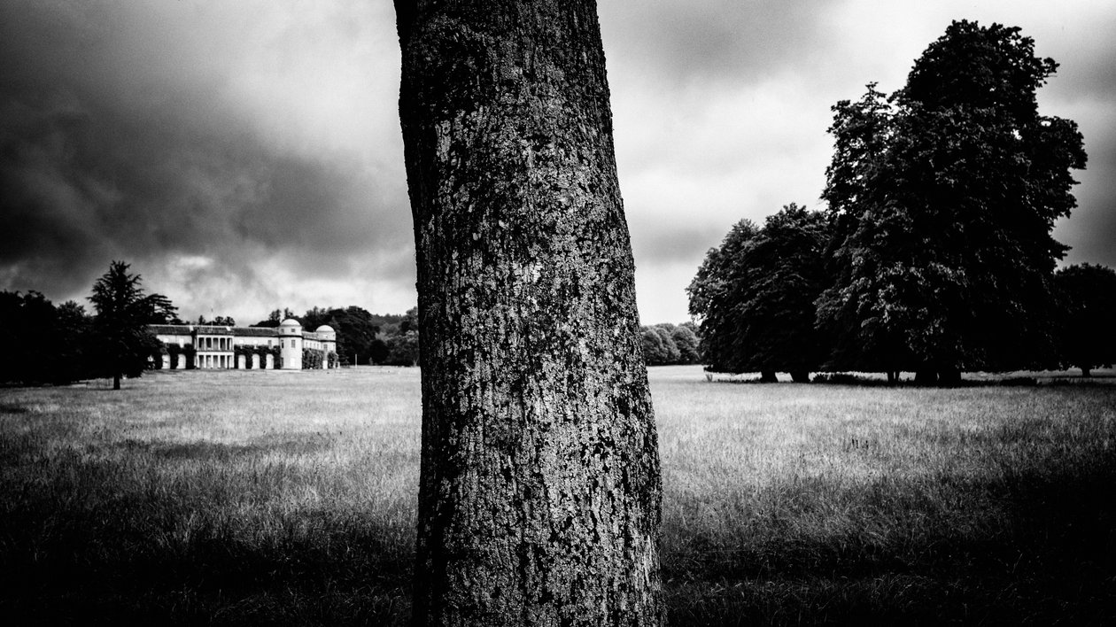 Panství Goodwood v Západním Sussexu, Spojené království, 2020 (foto) od Jon Nicholson