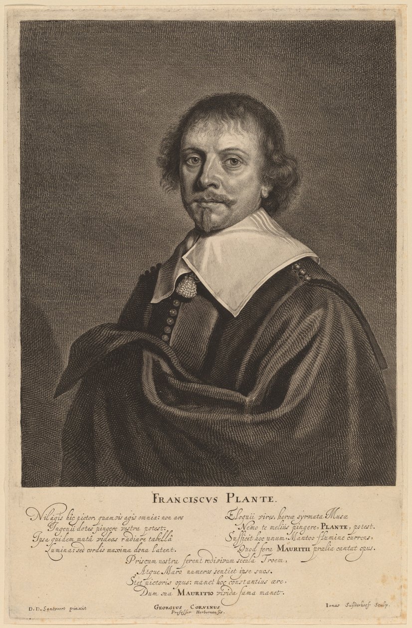 Francis Plante od Jonas Suyderhoff after Pieter Dircksz Santvoort