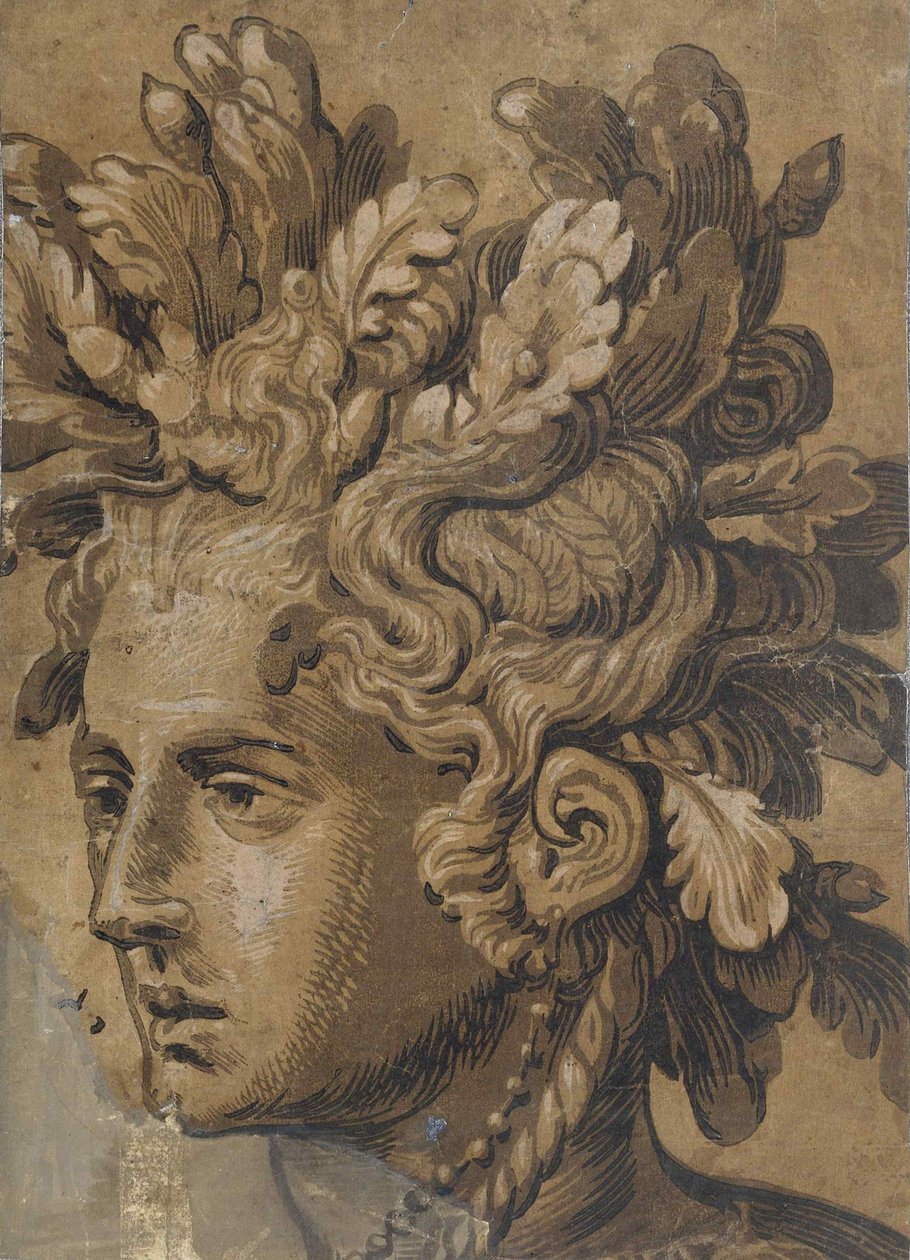 Dryad Head po Frans Floris, asi 1555. od Joos van Gietleughen
