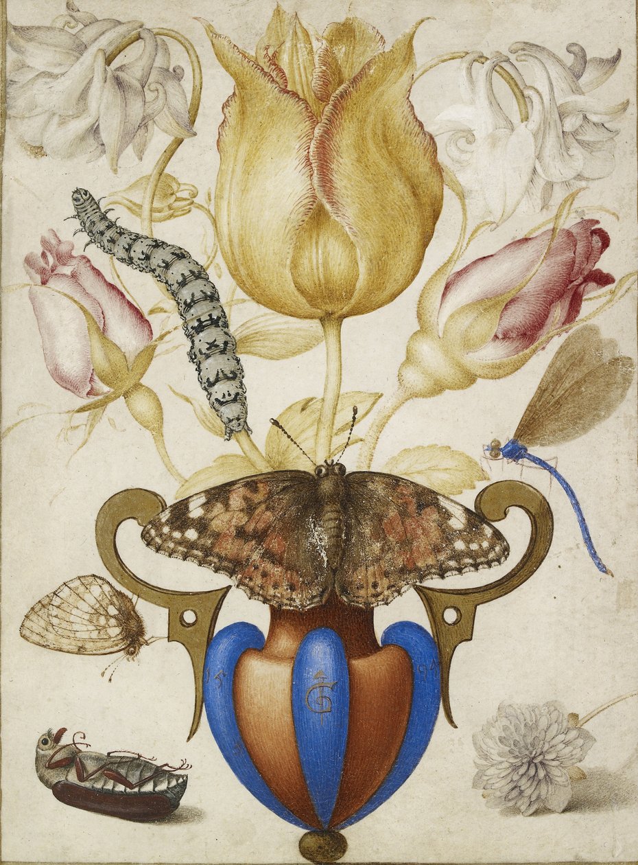 Aranžmá květin ve váze, s hmyzem, 1594 (Akvarel se zlatem na pergamenu) od Joris Hoefnagel