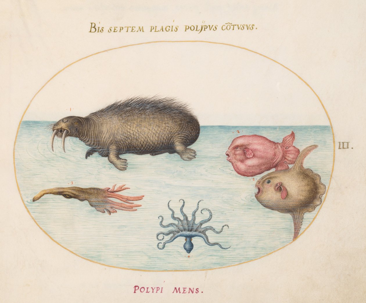 Mořští tvorové, kolem 1575-80 od Joris Hoefnagel