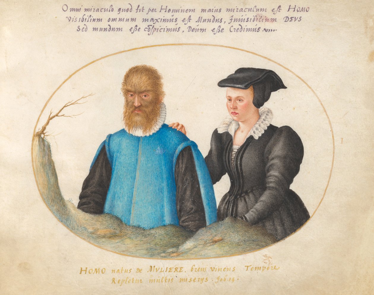 Deska 1: Pedro González (Petrus Gonsalvus) a jeho manželka Catherine od Joris Hoefnagel