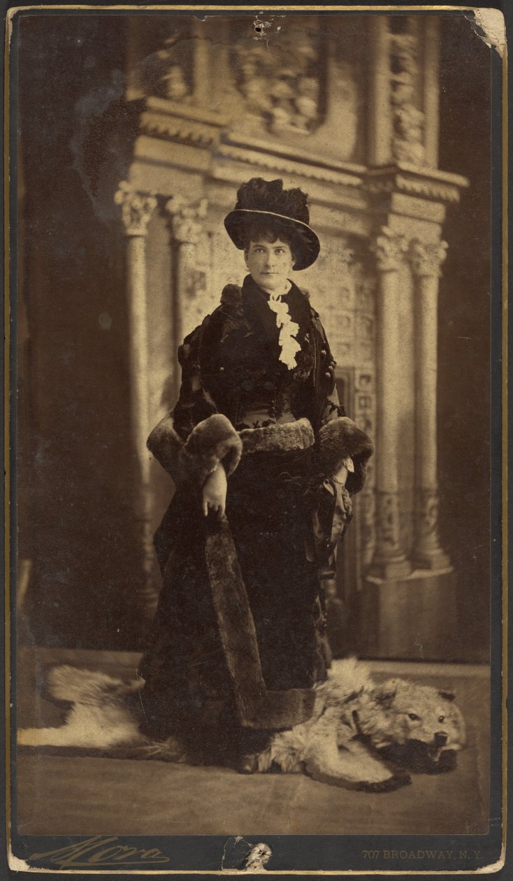 [Portrét Flory Livingstonové] od José Maria Mora