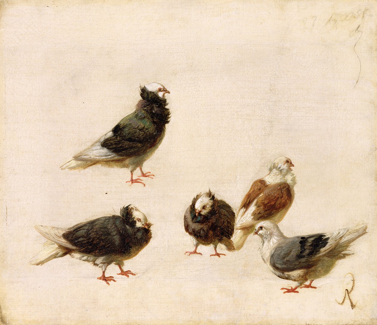 Holubi, 1888 od Jose Ruiz Blasco
