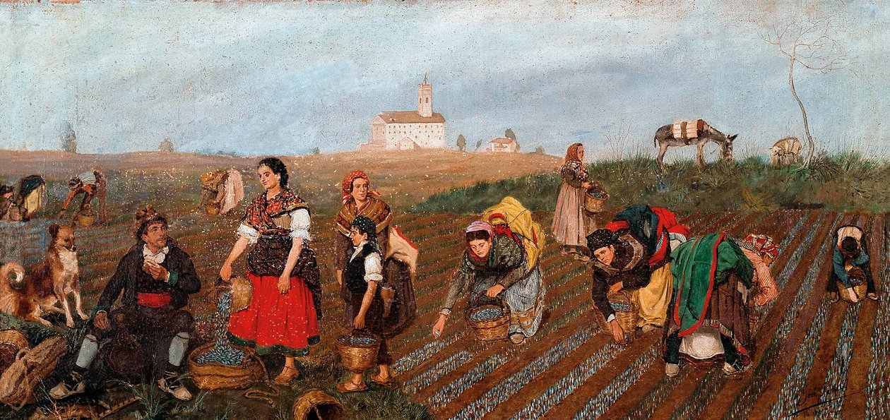 Detail "" The Saffron Collect "". Obraz Jose Albinana Bru (19. století). 1877. Valencie. Muzeum výtvarných umění San Pio V. od Jose Bru Albinana