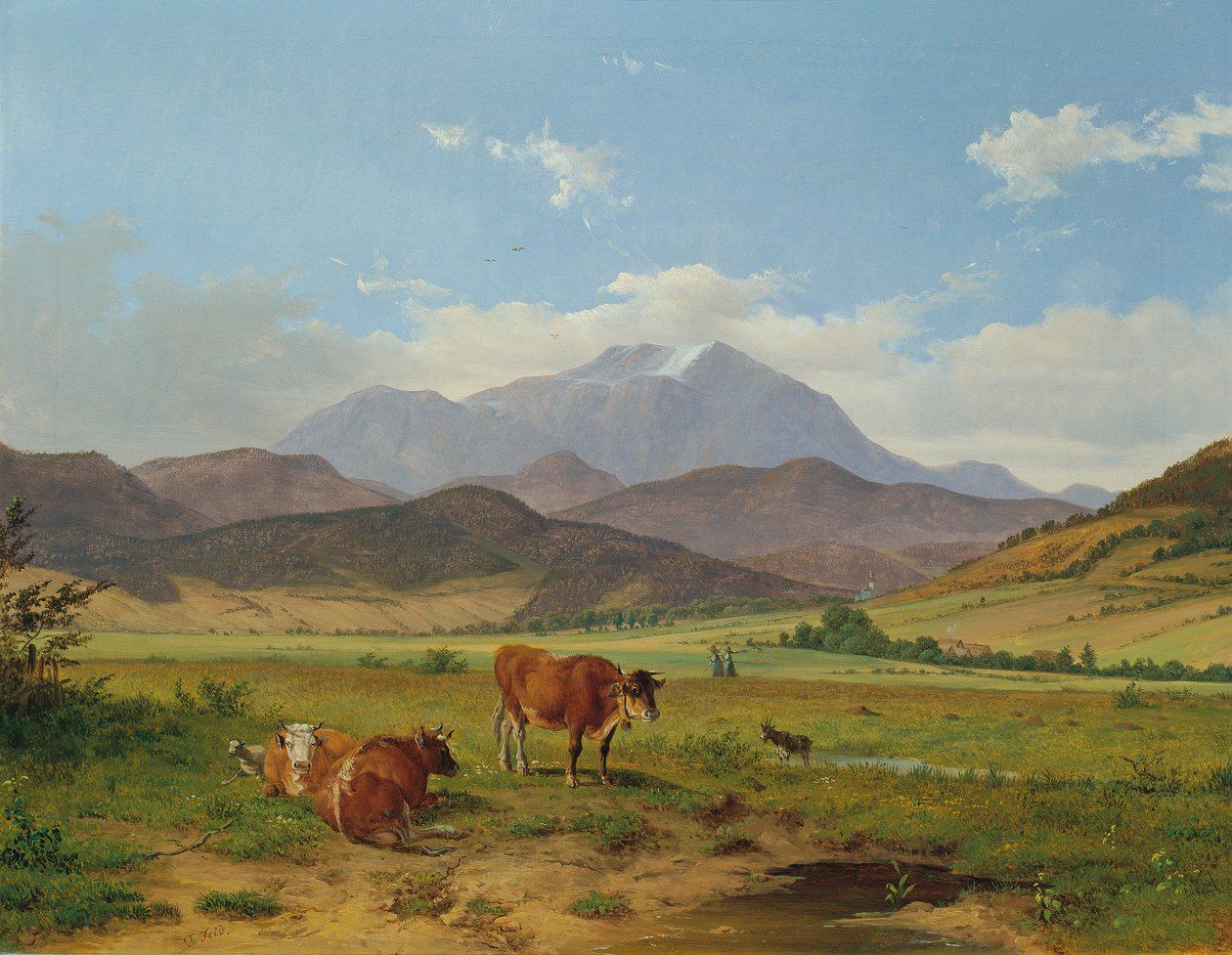 krajina s horou sněhu od Josef Feid