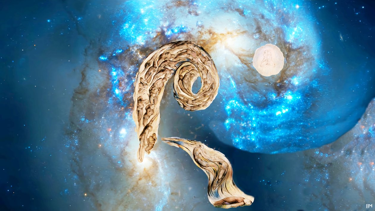 JJM-recreate: Blake-W_The Whirlwind of Lovers+JWST od Josef Johann Michel