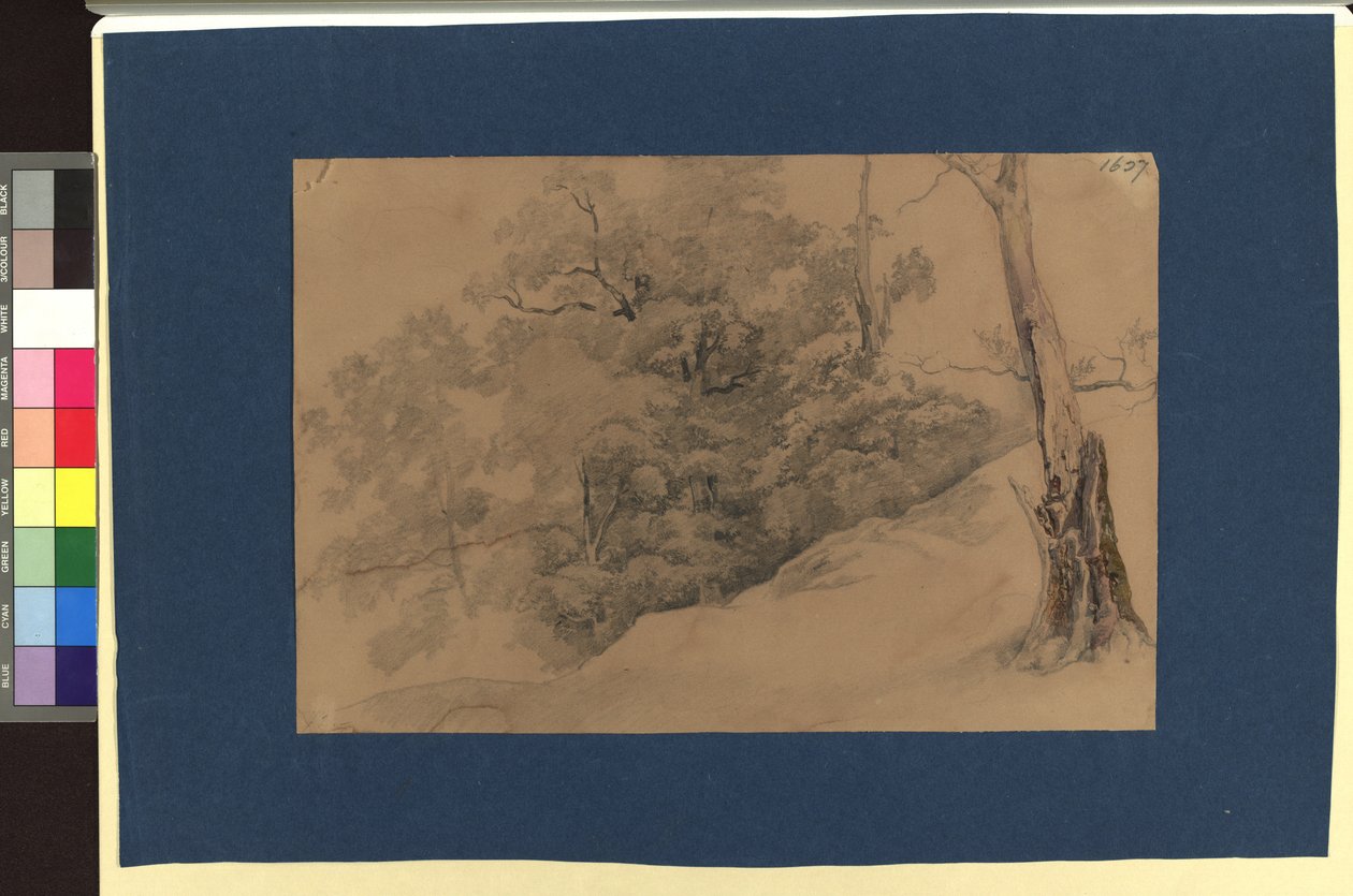 Landschaftsstudie od Josef Kriehuber