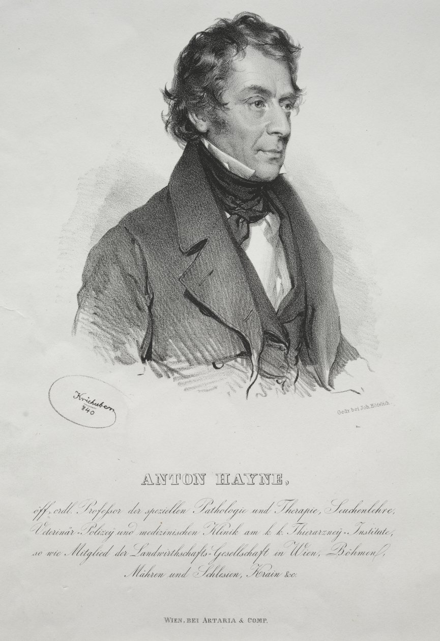 Portrét Dr. Antona Hayna od Josef Kriehuber