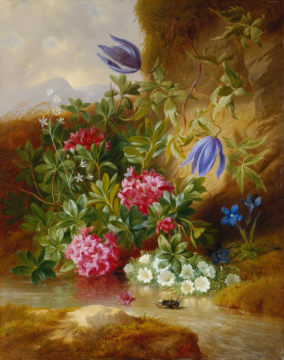 alpenblum, od Josef Schuster