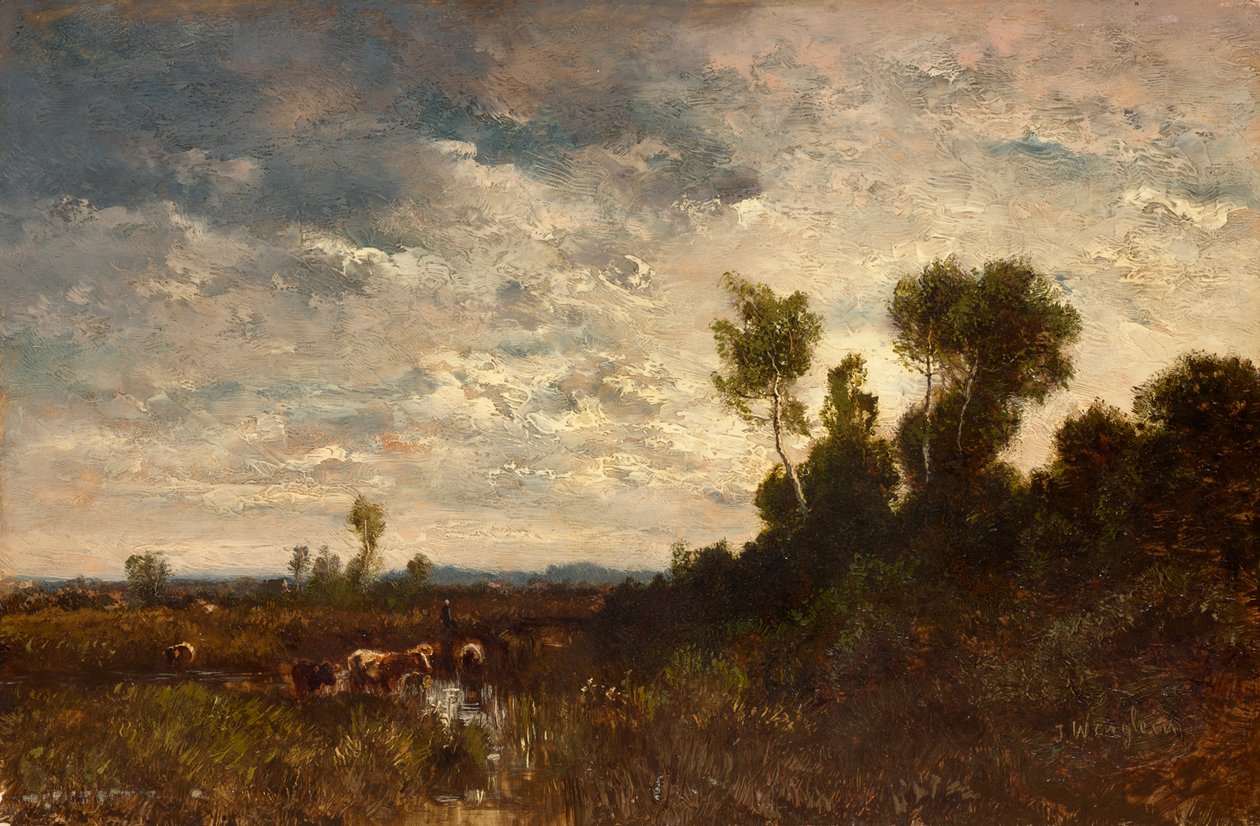 Moorlandscape od Josef Wenglein