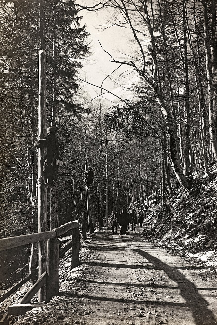 Album "Moje světová válka - vzpomínky na jihozápadní frontu v Korutanech, Itálie, Trentino-Alto Adige) 31.3.1915-12.11. 1918 - Josef Zohles Vídeň ": vojáci do práce (čb foto od Josef Zohles