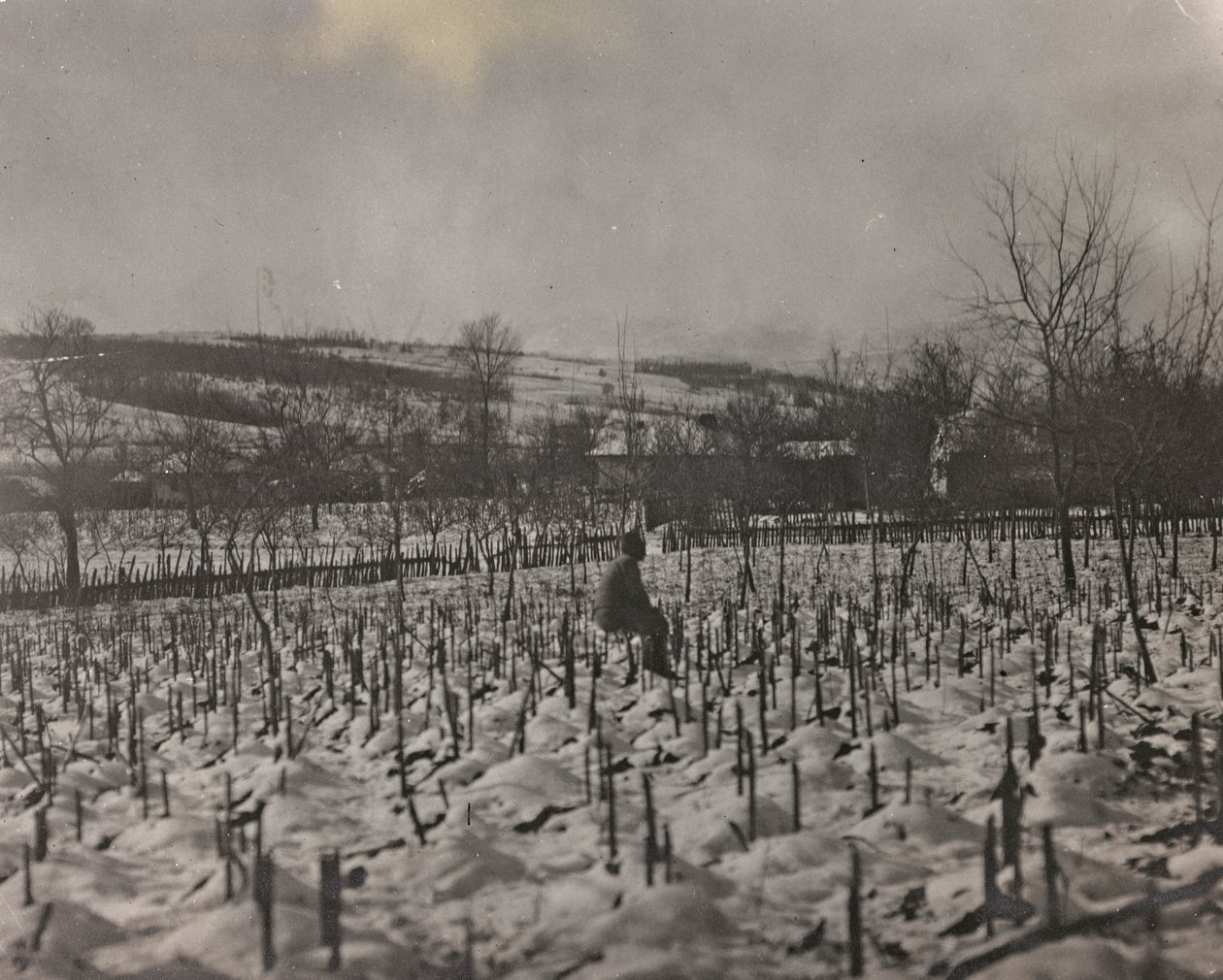 Album "Moje světová válka - vzpomínky na jihozápadní frontu v Korutanech, Itálie, Trentino-Alto Adige) 31.3.1915-12.11. 1918 - Josef Zohles Vídeň ": vojenský hřbitov (č/b foto od Josef Zohles