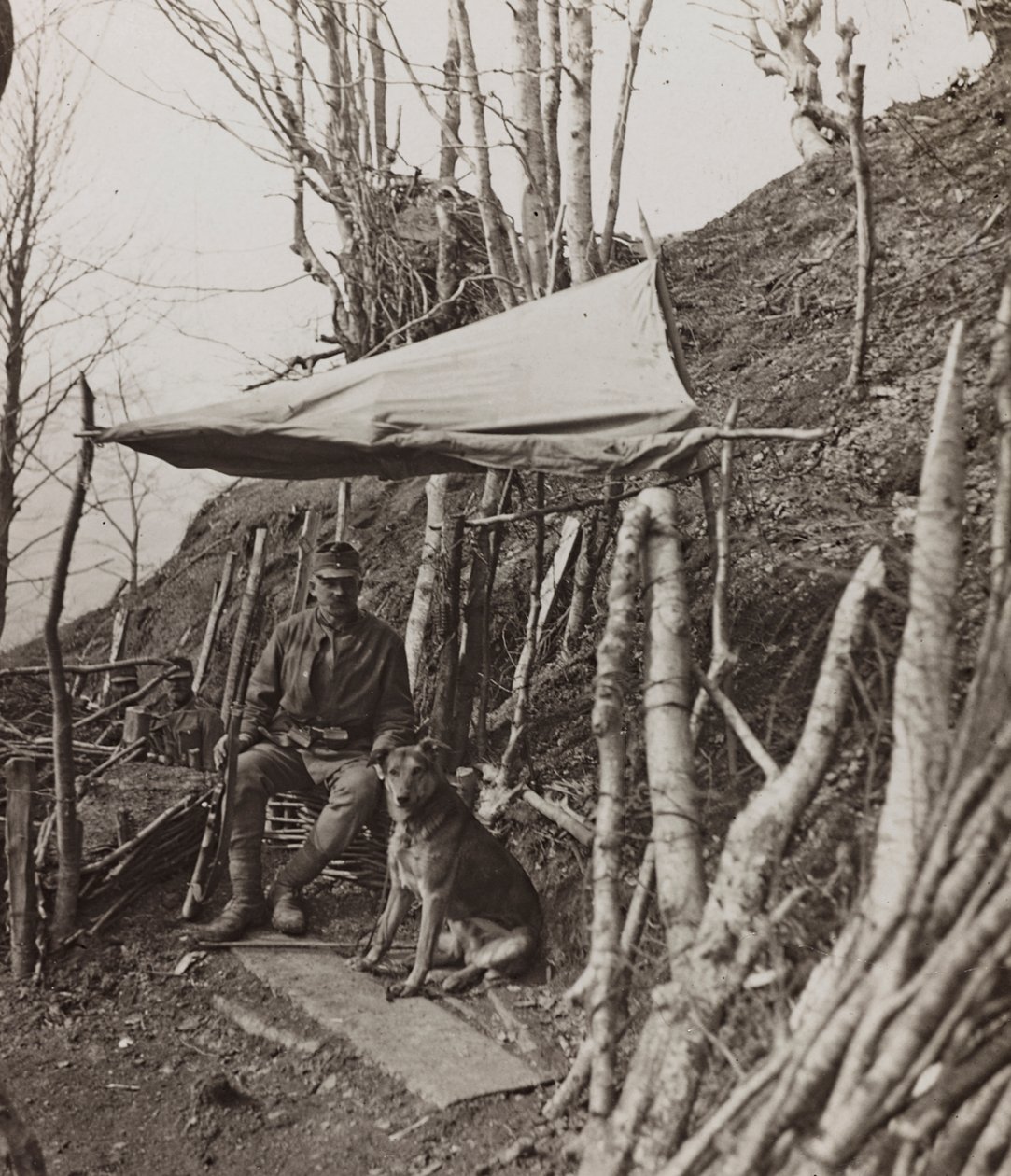 Album "Moje světová válka - vzpomínky na jihozápadní frontu v Korutanech, Itálie, Trentino-Alto Adige) 31.3.1915-12.11. 1918 - Josef Zohles Vídeň ": vojenský pes pod stanem ( od Josef Zohles