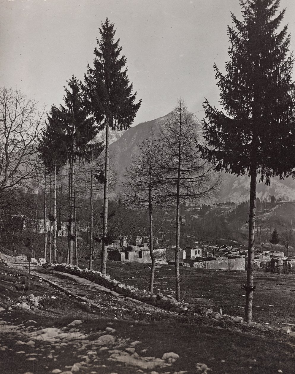 Album "Moje světová válka - vzpomínky na jihozápadní frontu v Korutanech, Itálie, Trentino-Alto Adige) 31.3.1915-12.11. 1918 - Vídeň Josefa Zohleho ": trosky Pliczna (č/b foto od Josef Zohles
