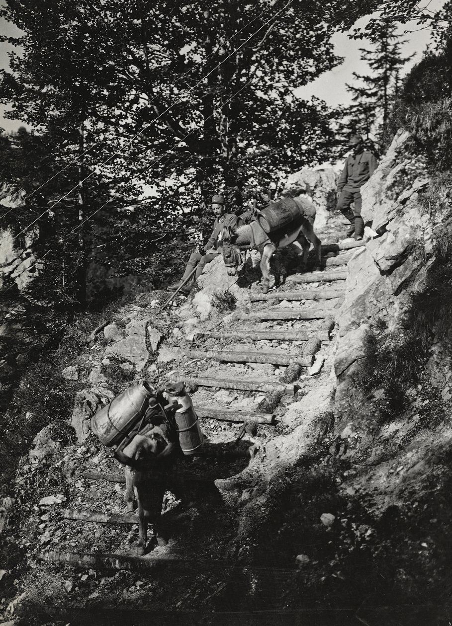 Album "Moje světová válka - vzpomínky na jihozápadní frontu v Korutanech, Itálie, Trentino-Alto Adige) 31/03/1915-12/11/ 1918 - Josef Zohles Wien ": Armádní mezci podél strmé deště od Josef Zohles